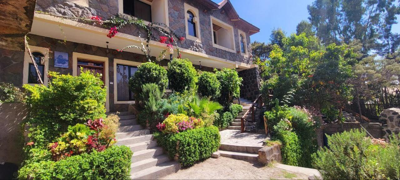 Lalibela Homestay Zewnętrze zdjęcie
