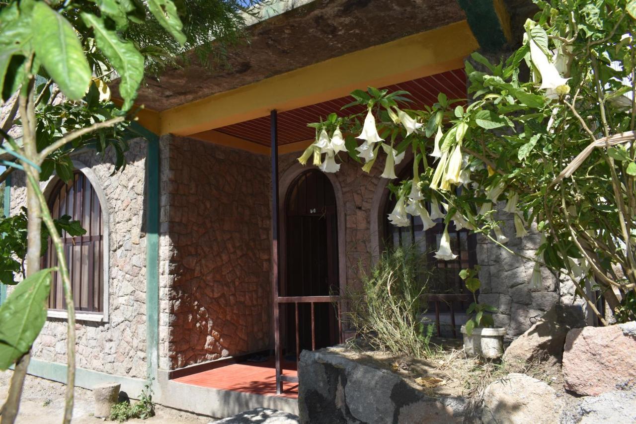 Lalibela Homestay Zewnętrze zdjęcie